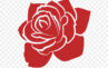 Rosa Upcycling